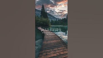 تلاوه القران الكريم بصوت الشيخ ياسر الدوسري