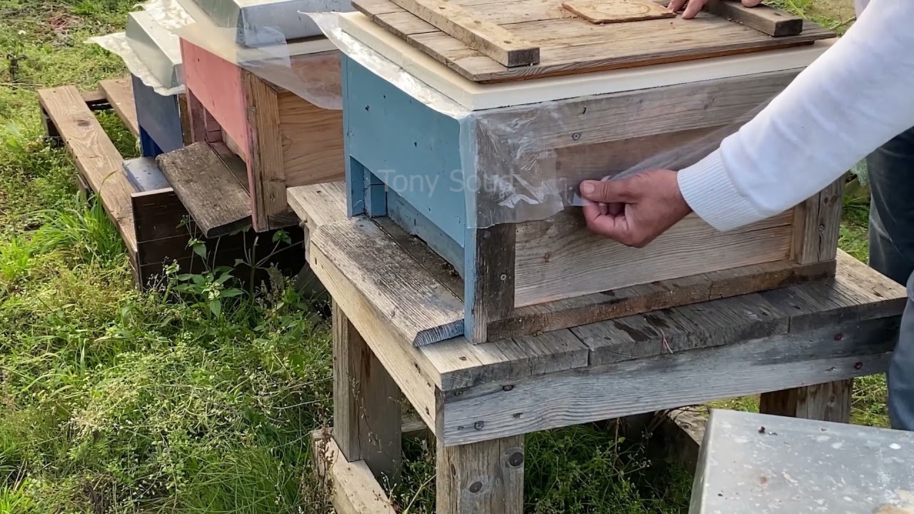 الطريقة الصحيحة في عزل الخلايا بالنايلون