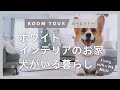 【ルームツアー】ホワイトインテリアの犬がいる暮らし