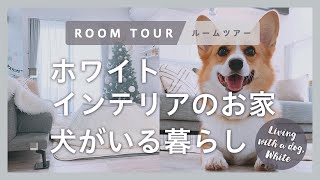 【ルームツアー】ホワイトインテリアの犬がいる暮らし