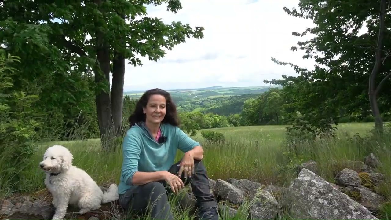 Waldreisen -  mein Herzensprojekt