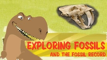 Exploring Fossil Records, How Fossils Are Formed
