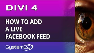 Divi 4 How To Add A Live Facebook Feed 👍