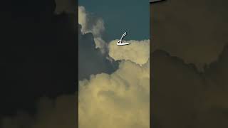 #foryou #rana #islamicvideo Allah 💖