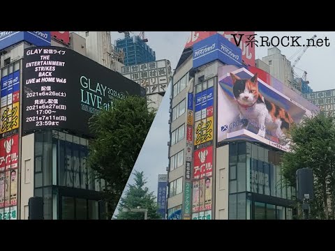 豪華コラボ?GLAY　新宿の3D巨大猫が映る街頭ビジョンに！GLAY！