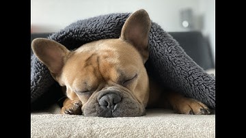 Afternoon Siesta - Take a Guided Meditation and Fall Asleep to This Video