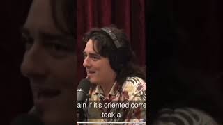 The Only Animal To Ask A Existential Question | Shorts