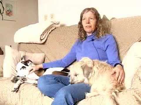 Ruth Frumkin - Pet Rescue