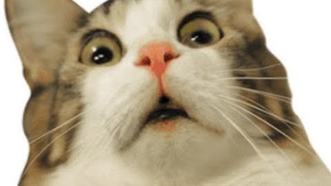 Deleting my discord server