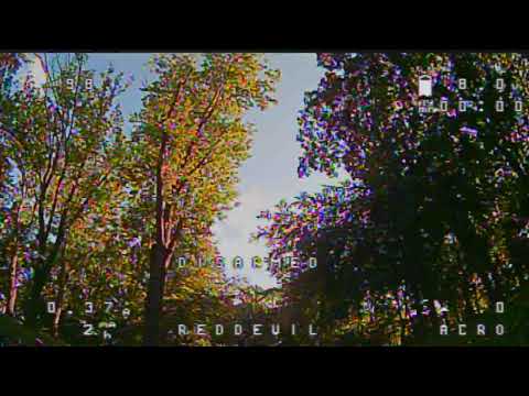 RedDevil Margit-sziget fára parkolás 2019. augusztus 9.