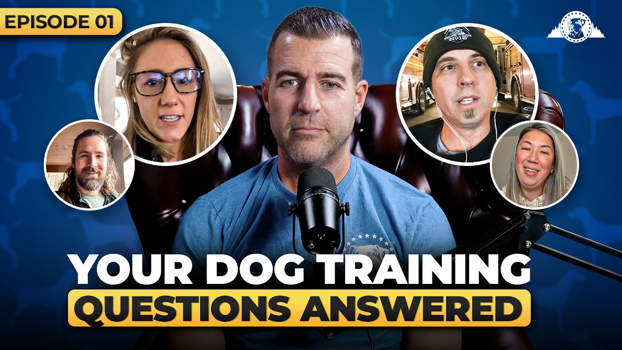Stop Severe Reactivity With True Leadership | Live Q&A Ep. 1