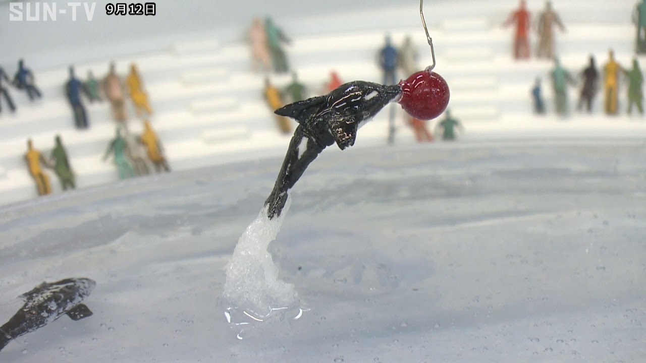 新スマスイ」はシャチのショーも 2024年3月オープンの計画案を公表