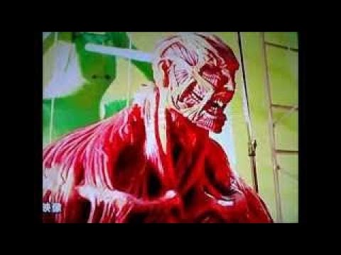 Attack on Titan (進撃の巨人) Live Action CM Making Scene
