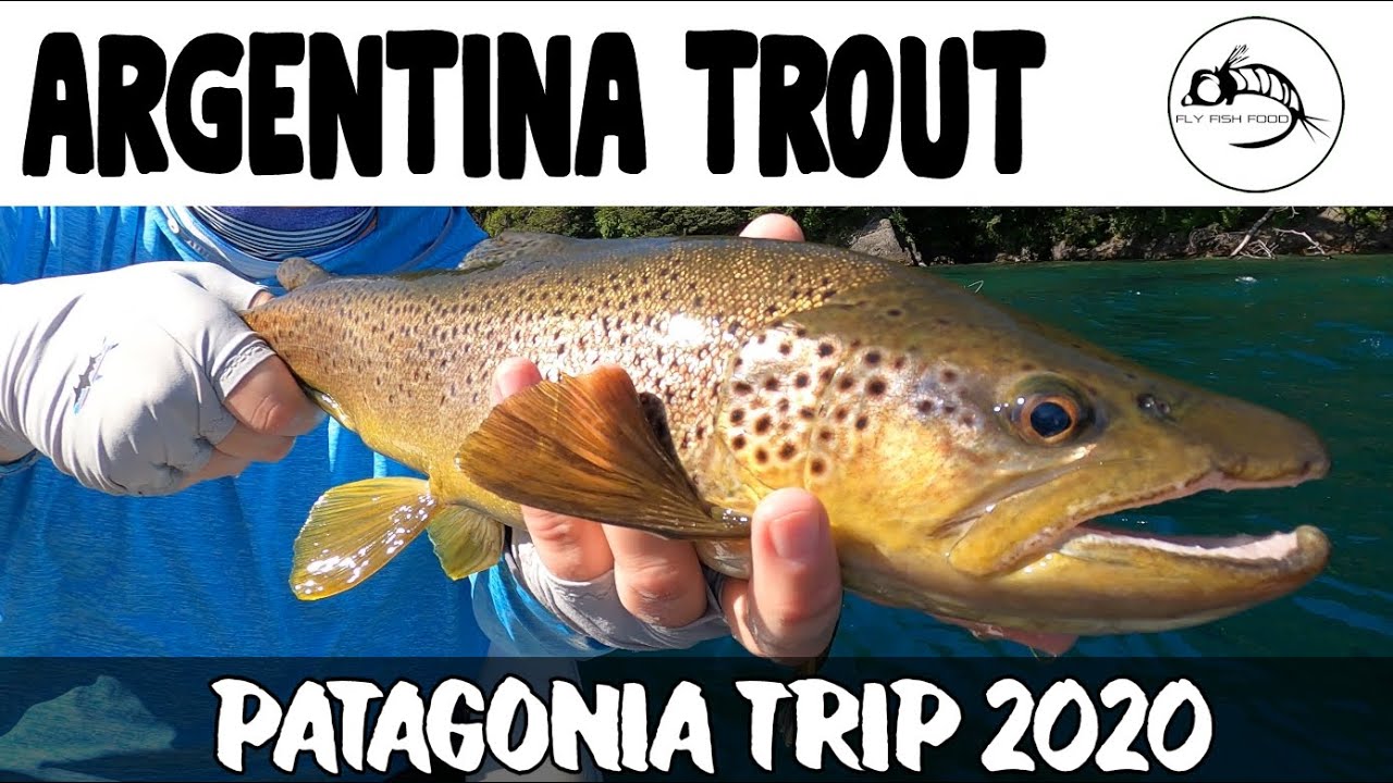 fly fishing trips argentina