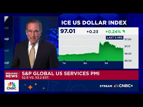 S&P Global US Services PMI stays in expansion territory at 52.9
