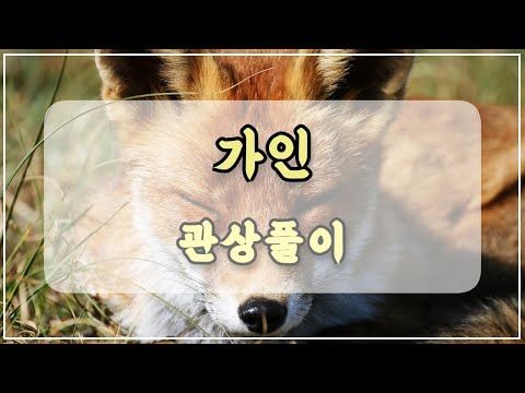 관상과학 브아걸 가인 관상