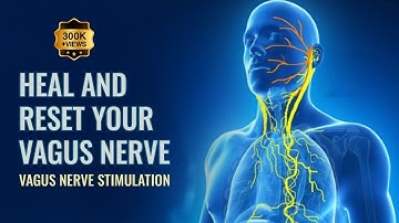 Vagus Nerve  Reset To Release Trauma Stored In The Body | Parasympathetic Nervous system Stimulation