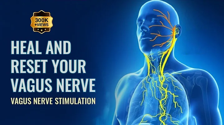 Vagus Nerve  Reset To Release Trauma Stored In The Body | Parasympathetic Nervous system Stimulation