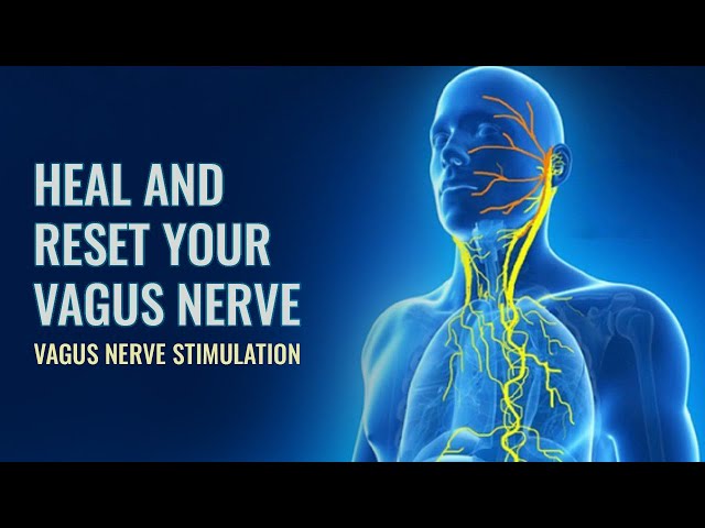 Vagus Nerve  Reset To Release Trauma Stored In The Body | Parasympathetic Nervous system Stimulation class=