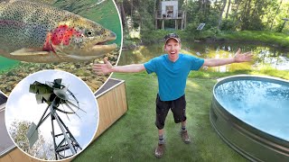 Pond Re-stocking And Pond Maintenance - Off Grid Fish Pond!