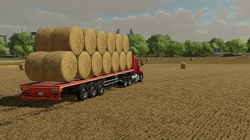 FS22 Lizard Trailer | Thing to know