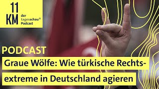 Graue Wölfe: Wie türkische Rechtsextreme in Deutschland agieren