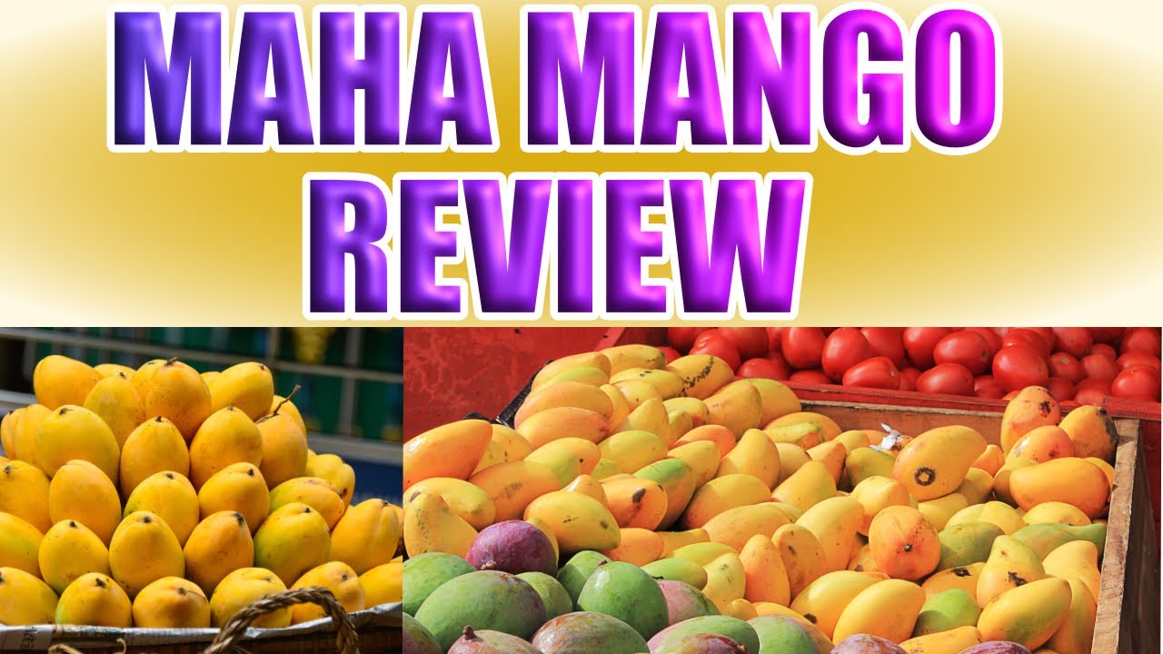 കേരളത്തിൽ കായ്ച്ച മാമ്പഴങ്ങളുടെ രുചിയും മധുരവും | Himapasand | Ratna |TASTE REVIEW | TSS | BRIX