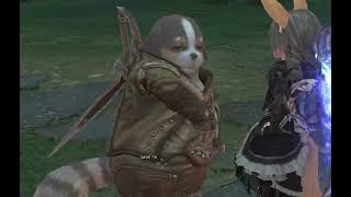 Tera Online - Paesyn E Zolyn Dançando