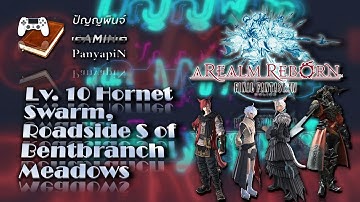 Lv. 10 Hornet Swarm, Roadside S of Bentbranch Meadows | Final Fantasy XIV
