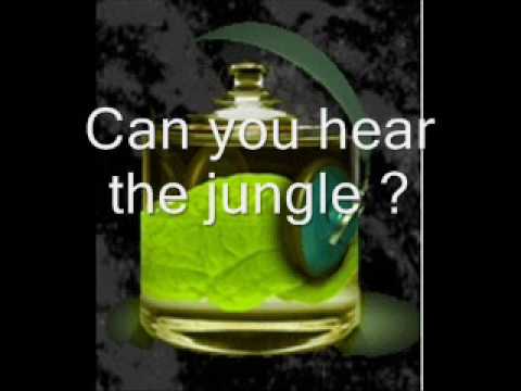 Zooloo — ZooLoo - Can you hear the jungle