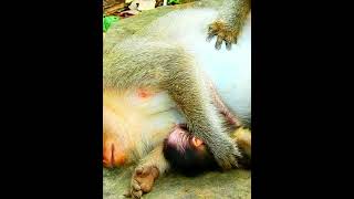 Cutest Baby Funniest Moments 66
