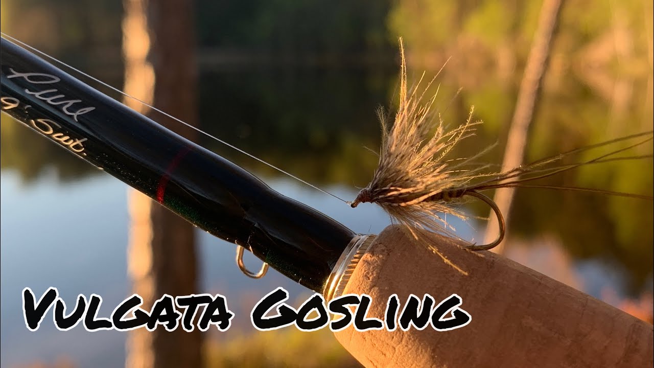 Vulgata Gosling - Denne MÅ du prøve!