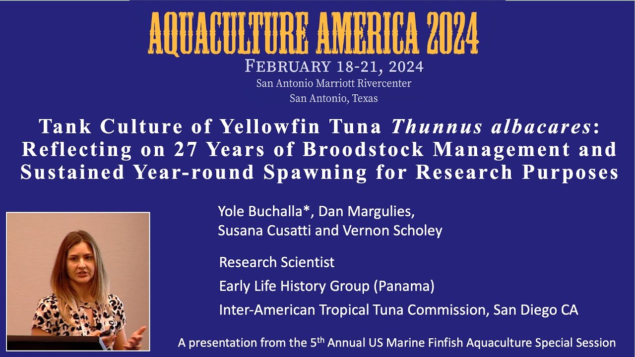 Tank Culture of Yellowfin Tuna: Reflecting on 27 Years of Broodstock Management and Spawning