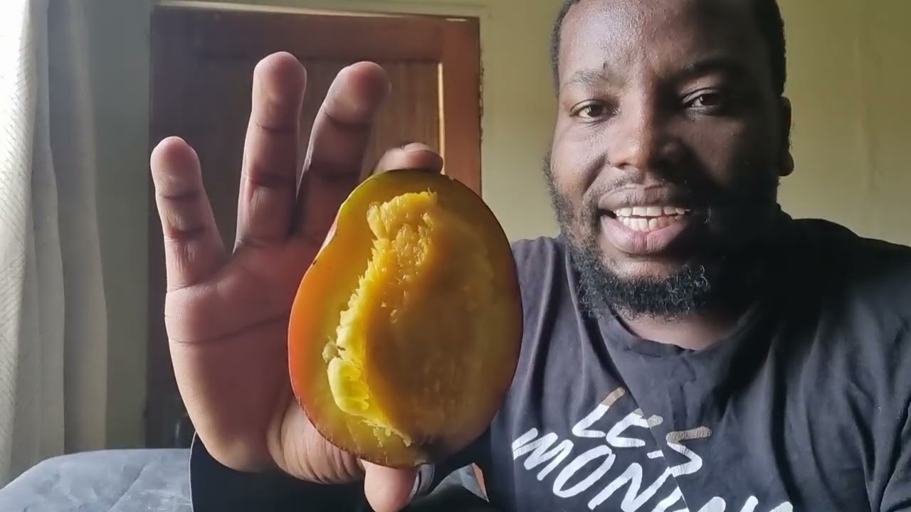 Trying to grow a mango 🥭 | Agriculture 