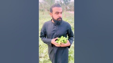 #حسيني_البقاء #الحبيب#الرادود#خضر عباس☘️