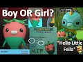 Octonauts Tominnow Boy Or Girl The Littlest Vegimal S FACTS Analysed Evidence His Or Her 