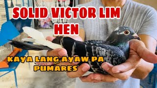 Download lagu GANDANG HEN KAYA LANG AYAW PA PUMARES |Reggie Cruz Loft & Aviary #reggiecruzloftandaviary #pigeon