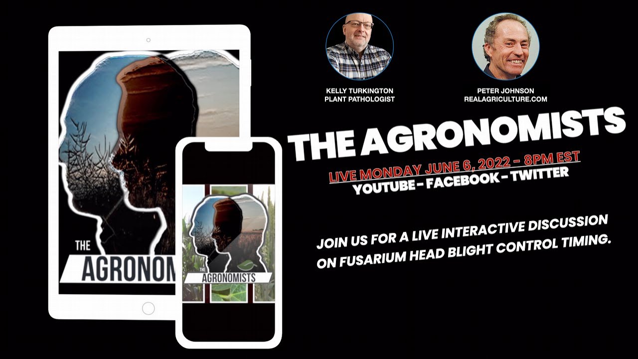The Agronomists, Ep 70: Peter Johnson and Kelly Turkington on fusarium head blight management