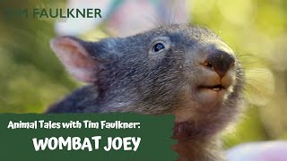 ANIMAL TALES  | EPISODE NINE | WOMBAT JOEY