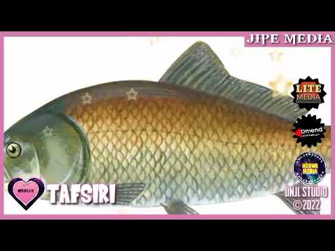 TAFSIRI KUOTA NDOTO SAMAKI MPYA ISHARA NA MAANA ZAKE