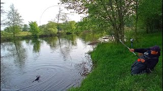 видео: ЧОРНО-РЯБІ ТОРПЕДИ ВИРИВАЮТЬ УДОЧКУ ІЗ РУК. Рибалка на боковий кивок картинка: ЧОРНО-РЯБІ ТОРПЕДИ ВИРИВАЮТЬ УДОЧКУ ІЗ РУК. Рибалка на боковий кивок