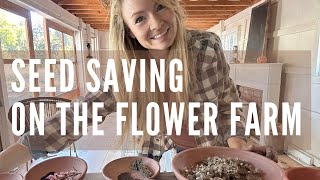 Seed saving on the flower farm!