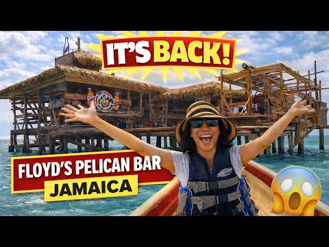 Pelican Bar is back : Jamaica March 2026 : Post-Melissa Recovery