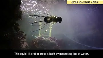 SQUIDBOT (SWIMMING ROBOT)