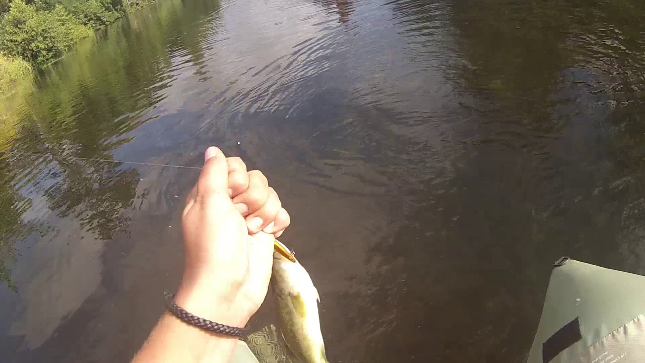 Parcours No Kill à Decize. #2