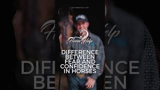 Difference Between Fear and Confidence in Horses