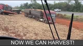 WE GOT HELP FROM 3 BITRAIN TRUCKS TO CONTINUE THE CORN HARVEST - 08/25/23