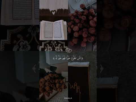 Surah Al Baqara Shorts Islamic Shortsvideo Youtubeshorts