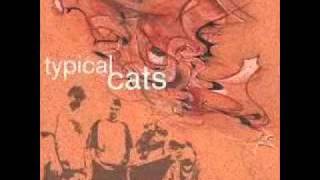Typical Cats - Reinventing the Wheel Instrumental
