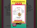 🍽️ खाना कैसे पचता है? | Amazing Facts about Digestive System in Hindi |#shorts #viral #trending